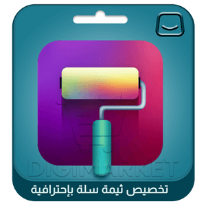 Professional Customization of Salla Theme