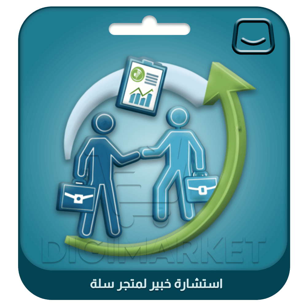 Expert Consultation for Salla Store